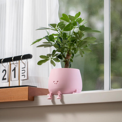 Ideal for succulents and compact greenery in the TOPOLA pot