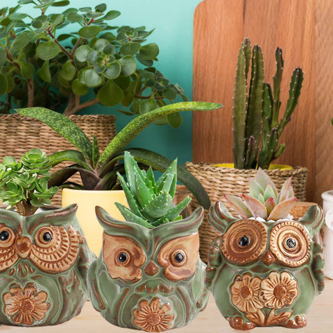 TopZea 10-style pack owl planters offers varied indoor accents.