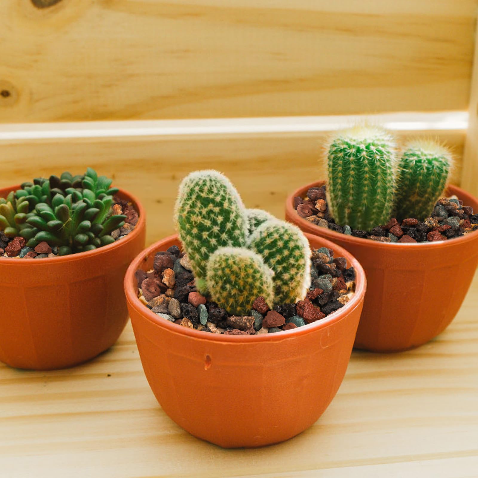 TOPZEA colored lava rocks decorate planters with vibrant, lasting color.