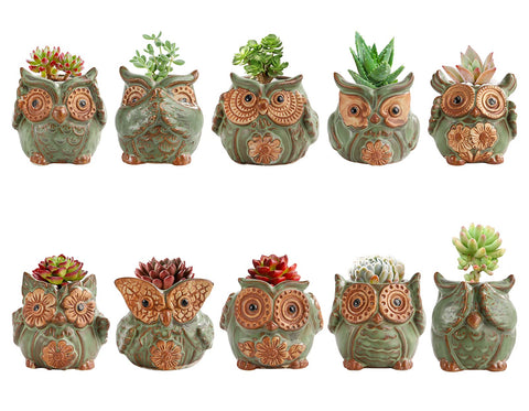 TopZea compact pot fits herbs or small cacti on desks.