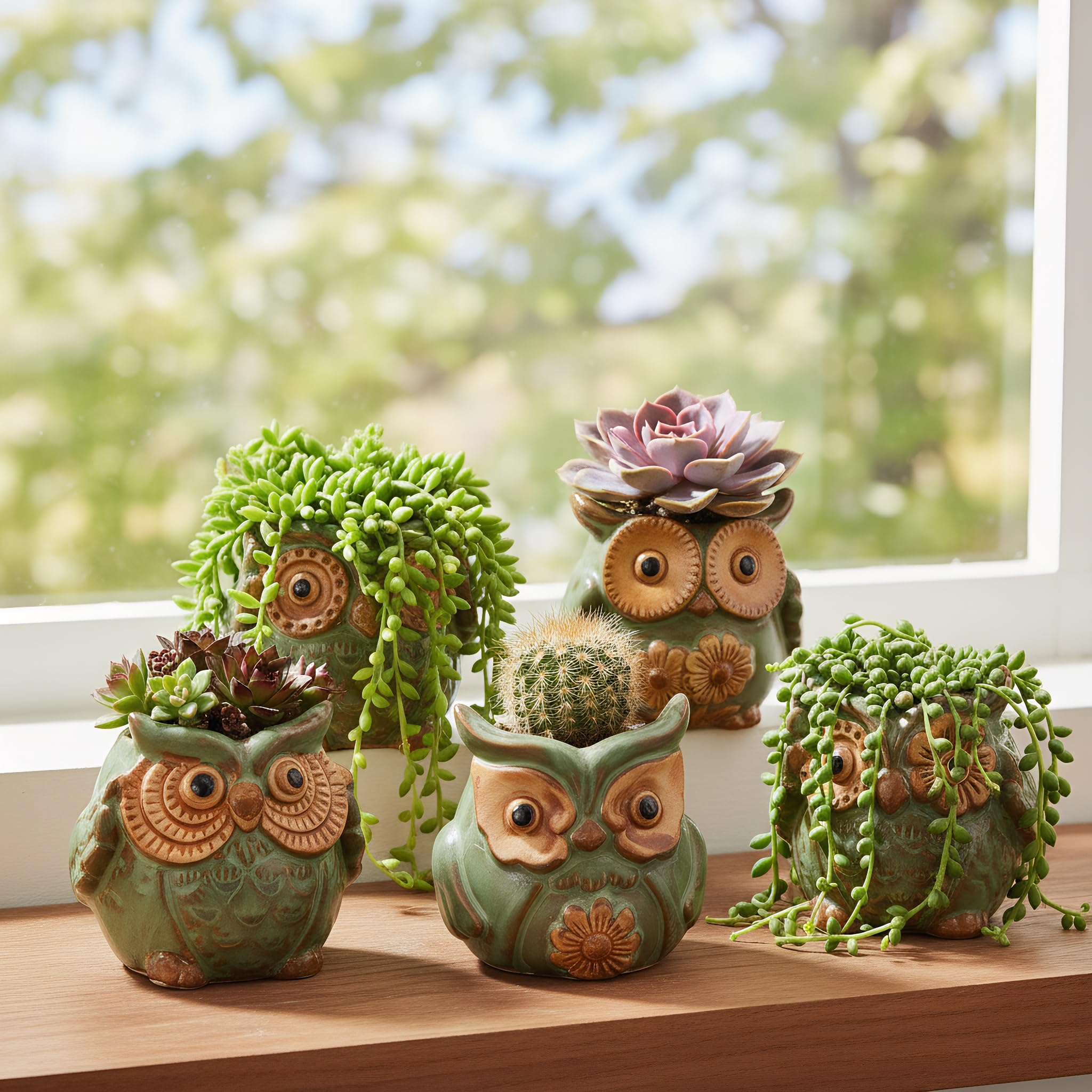 TopZea decorative pot makes a thoughtful gift for plant lovers.