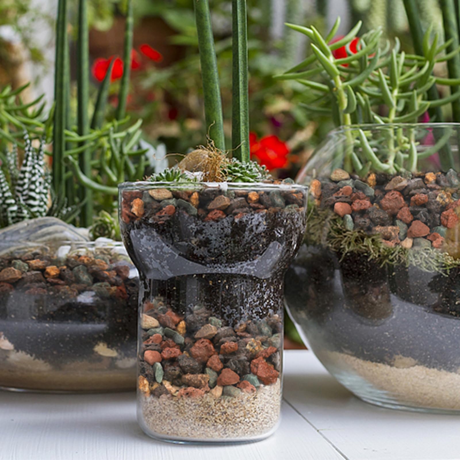 TOPZEA lava rocks suit fairy gardens for tactile, whimsical landscapes.