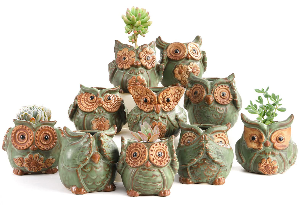 TopZea owl planter ceramic pot ideal for small succulents.
