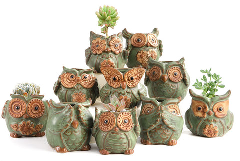 TopZea owl planter ceramic pot ideal for small succulents.