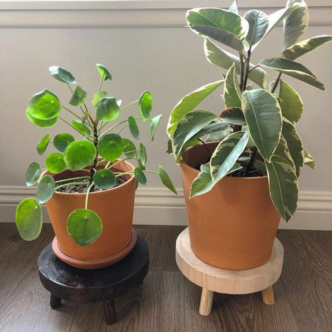 Topzea small desk pedestal keeps trinkets neatly elevated.