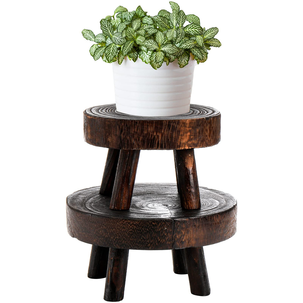 TOPZEA small round wooden plant stool stand for compact display and elevation.