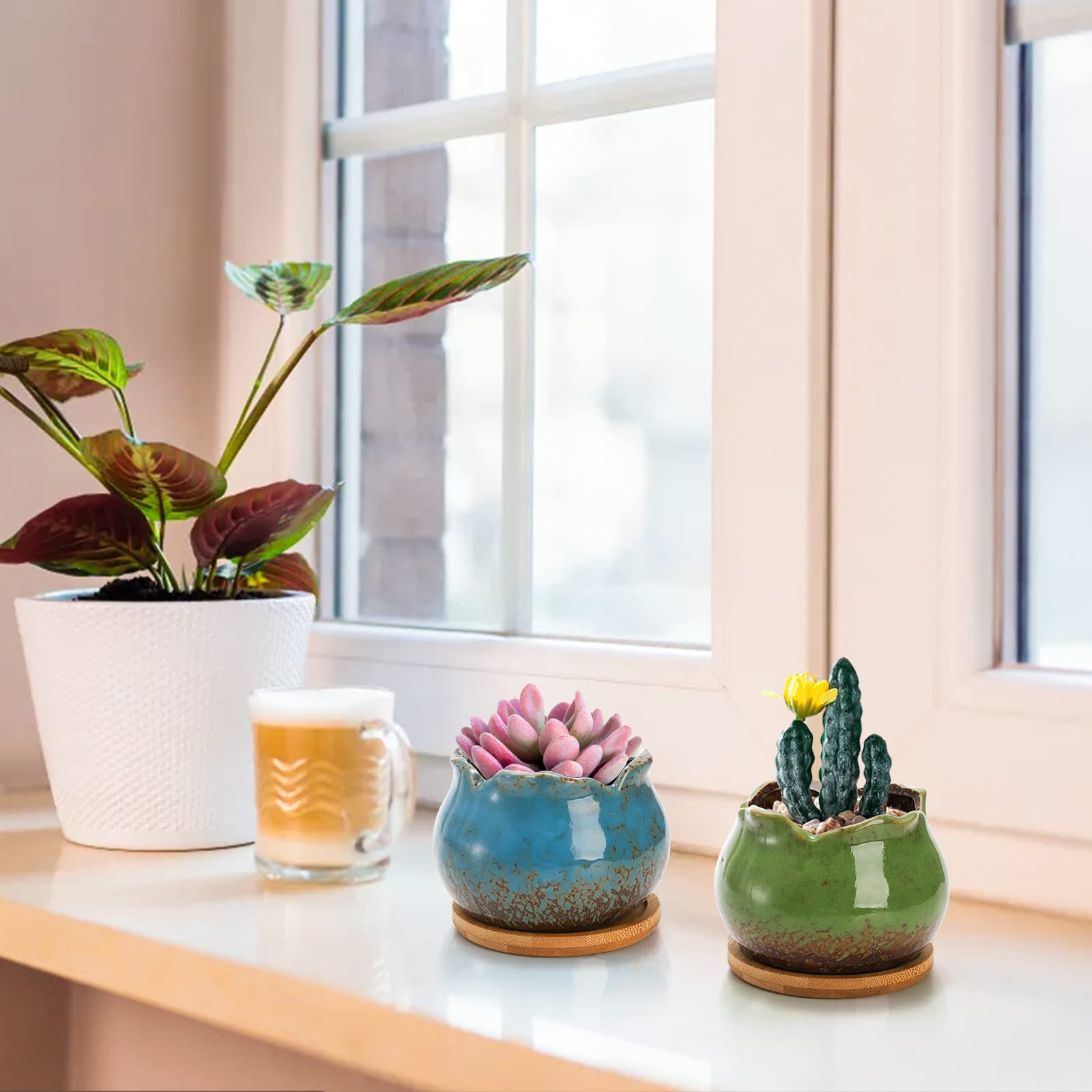 TopZEA wave-edge 4-inch succulent pot with drainage and bamboo saucer.