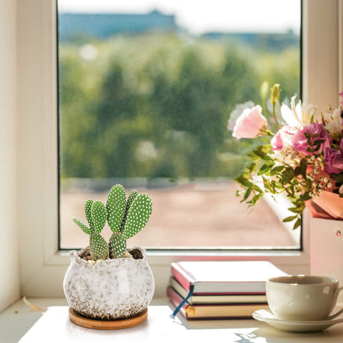 TopZEA white glazed ceramic succulent pot with drainage, clean modern look.