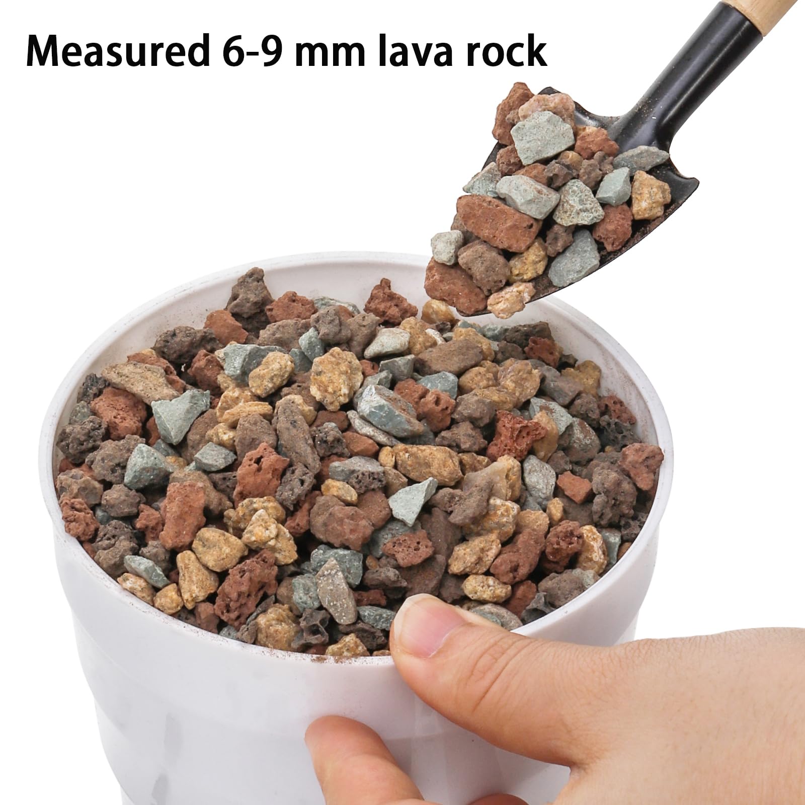 TOPZEA volcanic stones for bonsai promote drainage and visual appeal.
