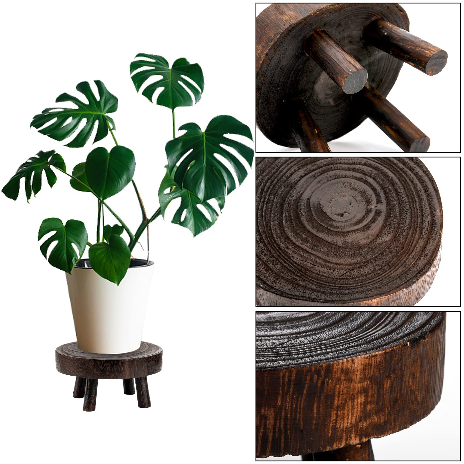 TOPZEA wooden pedestal riser for bonsai, raising visual impact.