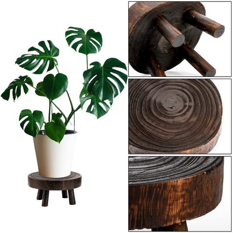 TOPZEA wooden pedestal riser for bonsai, raising visual impact.