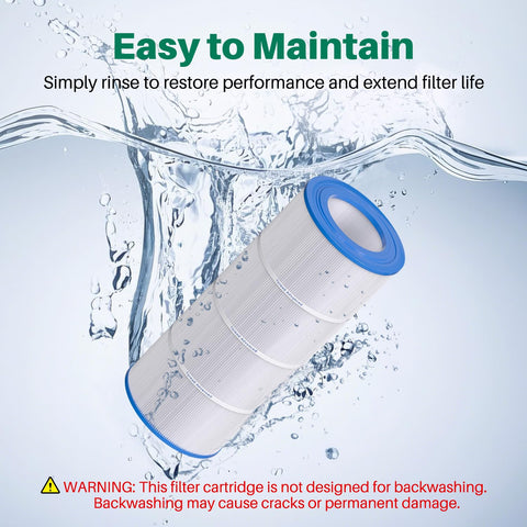TOREAD cartridge for R173215 helps maintain pool clarity