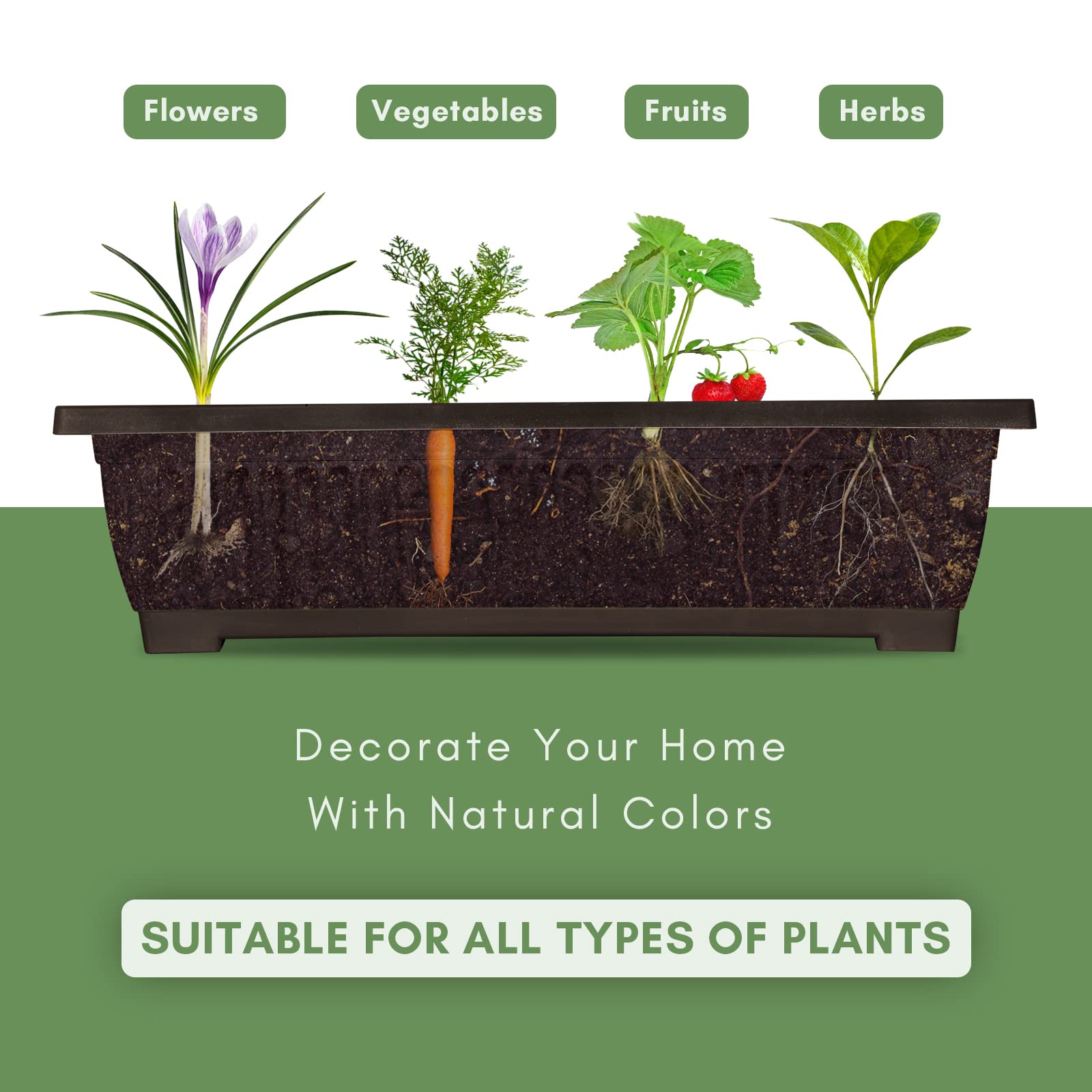 TOREVSIOR removable planter boxes simplify cleaning and replanting