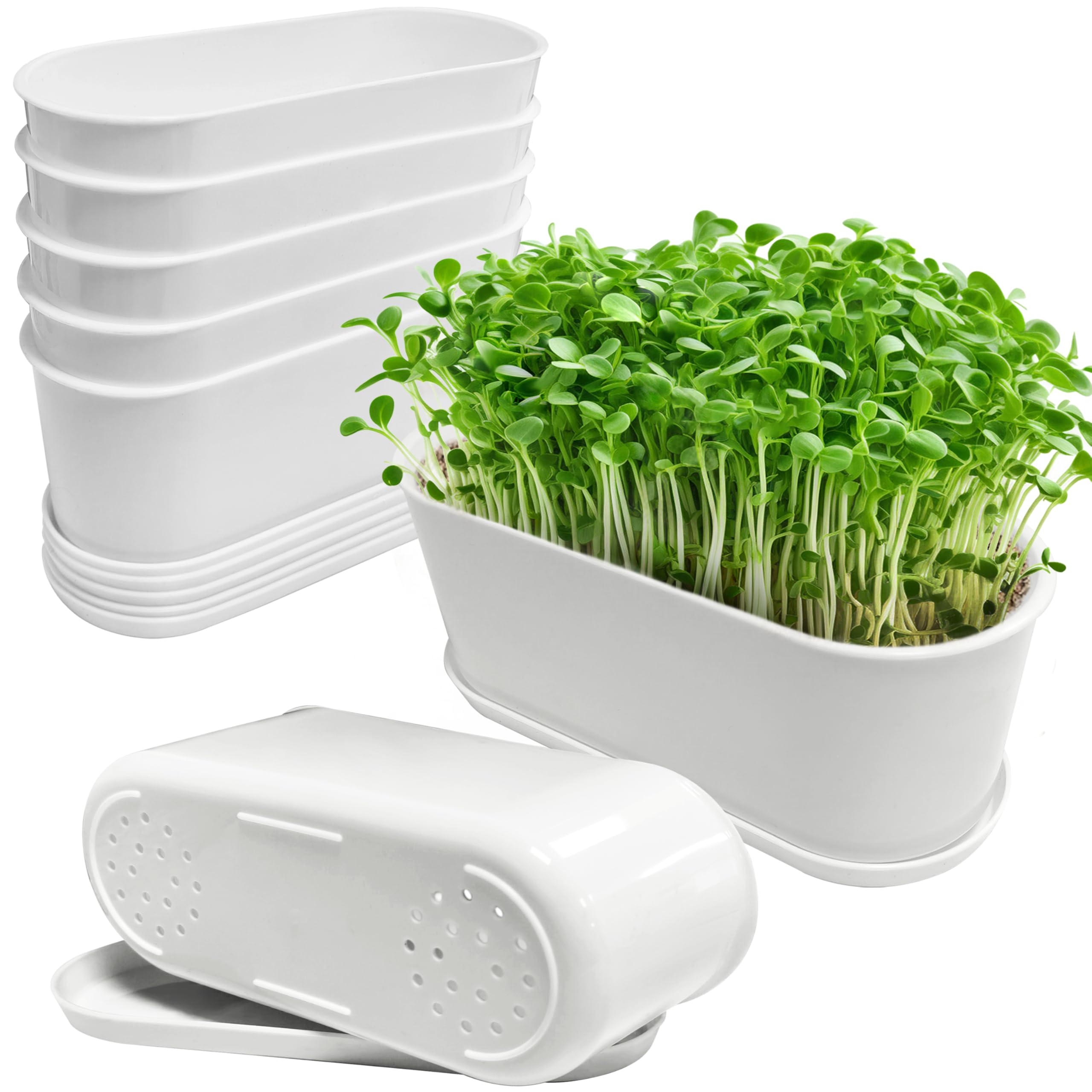 Torfican 5-set window box planter with saucers for tidy indoor gardening.