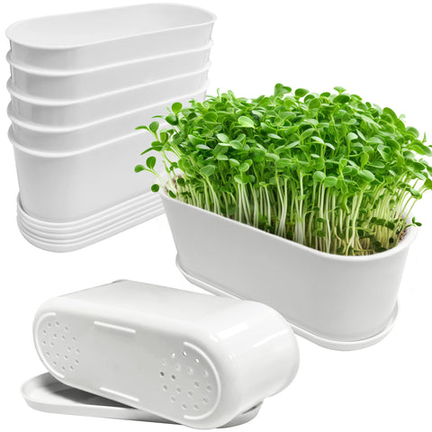 Torfican 5-set window box planter with saucers for tidy indoor gardening.