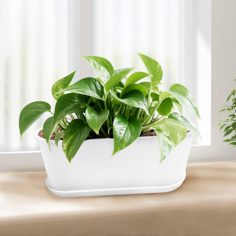 Torfican DIY paintable indoor planters invite personalization for a creative home display.