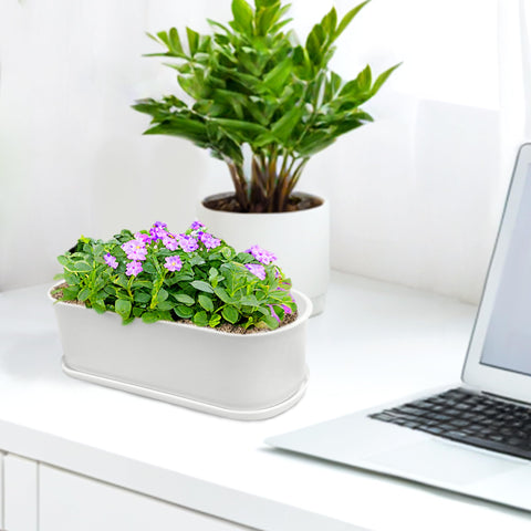 Torfican set includes saucers, plant tags, and transplanting tools for easy organization.