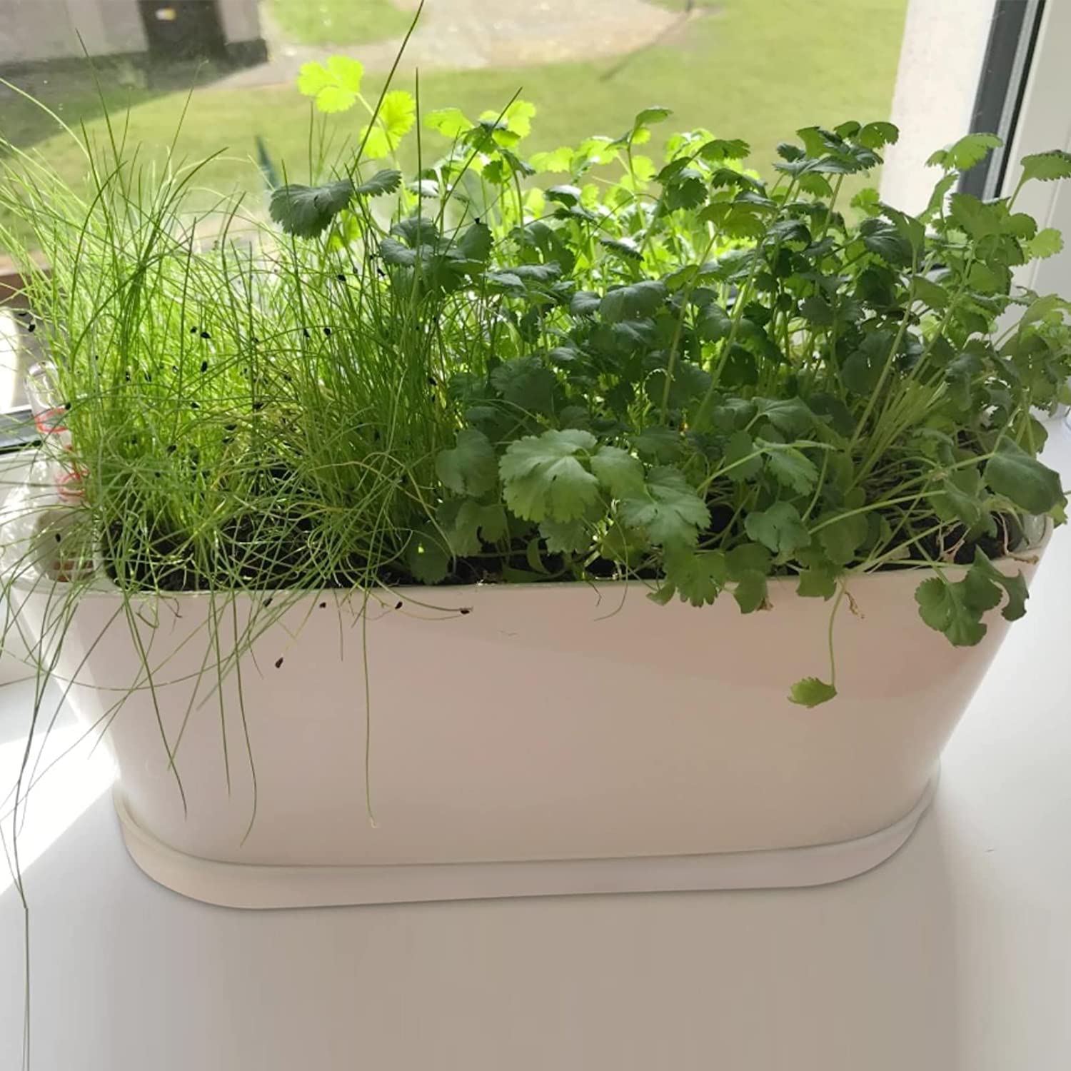 Torfican DIY paintable white planter lets you personalize with styles.