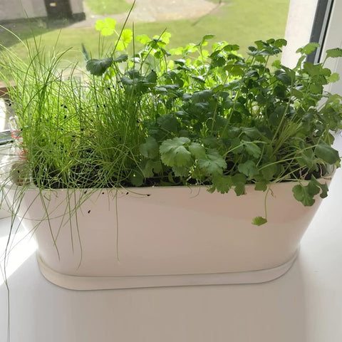 Torfican DIY paintable white planter lets you personalize with styles.