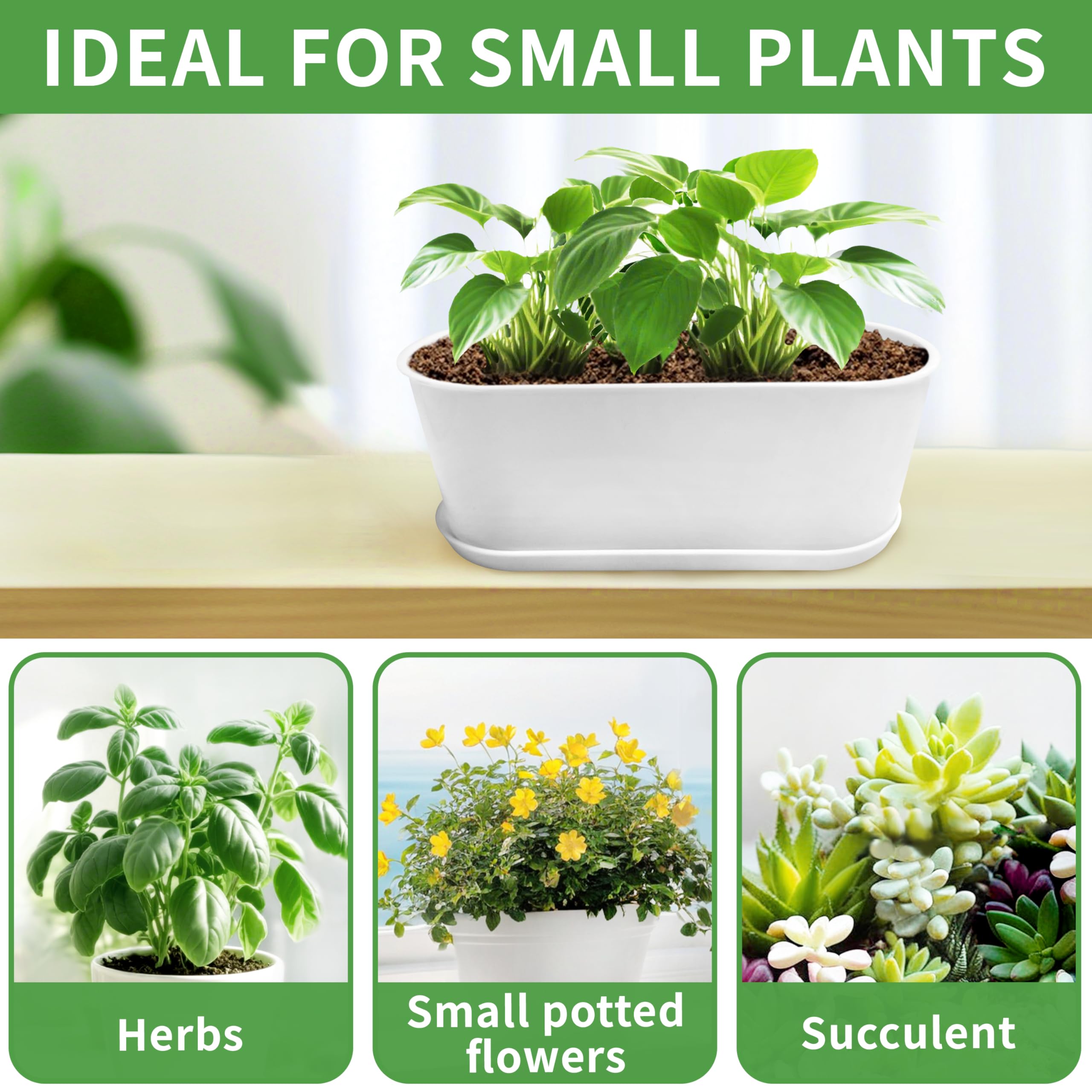 Torfican planters withstand outdoor conditions for long-lasting use.
