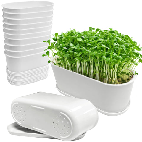 Torfican window box planter with saucers for neat, protected windowsill displays.