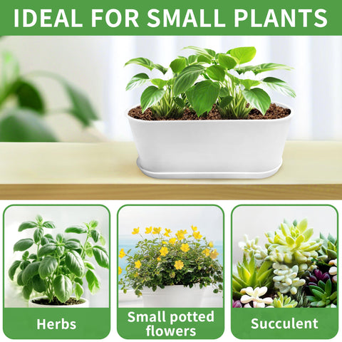 Torfican window planter with drainage holes promotes soil ventilation and healthier root conditions.