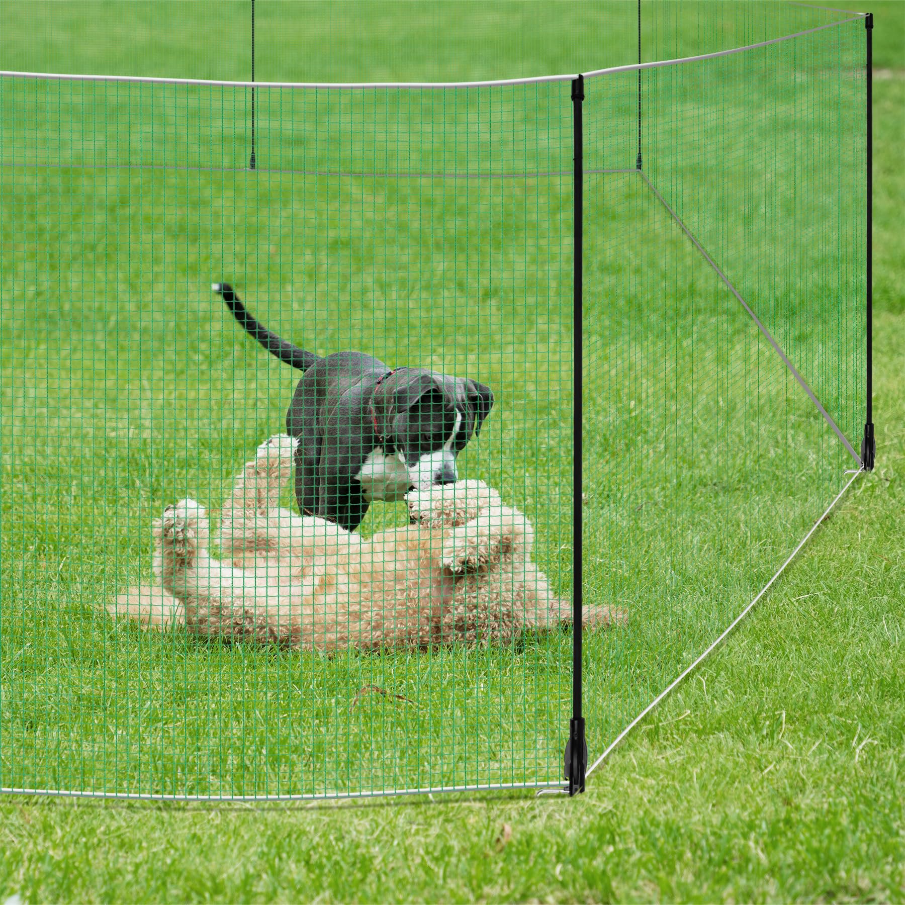 Toriexon backyard boundary fence in action, keeping pets within safe zones.