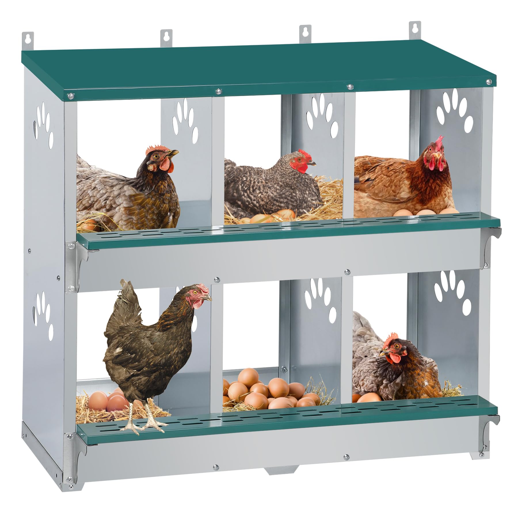 Toriexon chicken nesting box 6-compartment design for tidy egg collection.