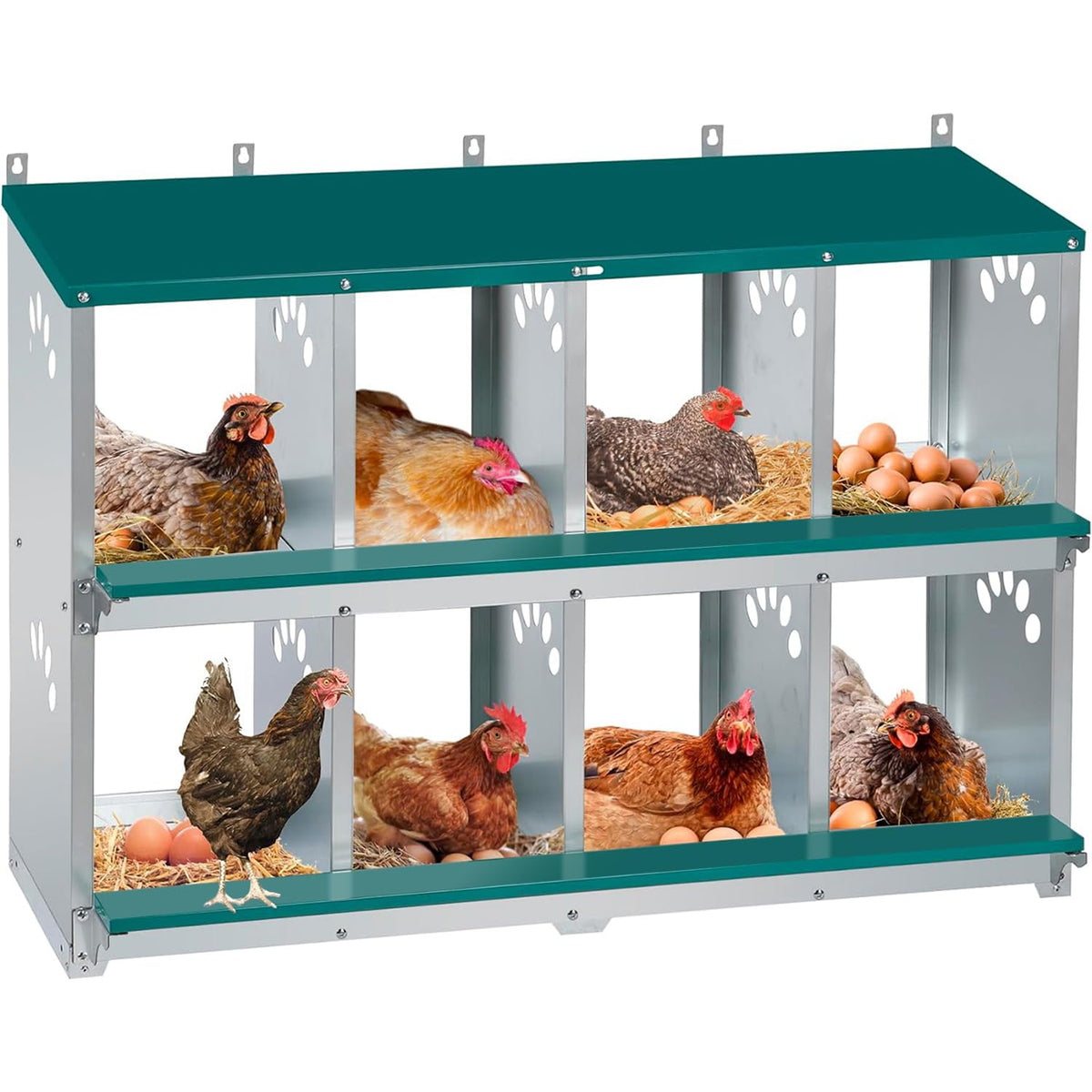 Toriexon 8-compartment nest box with spacious design for comfortable egg laying.
