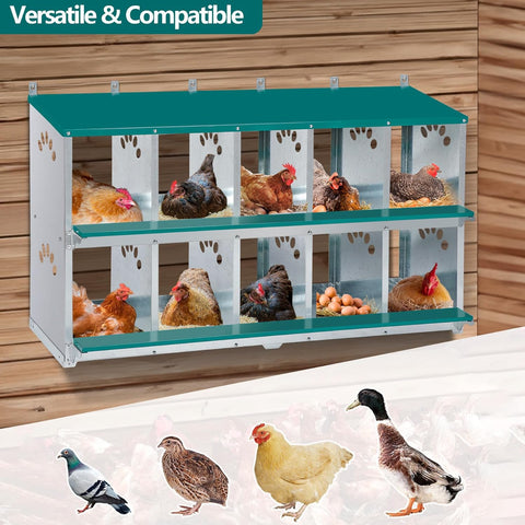 Toriexon nesting box durable steel design resists wear in coops