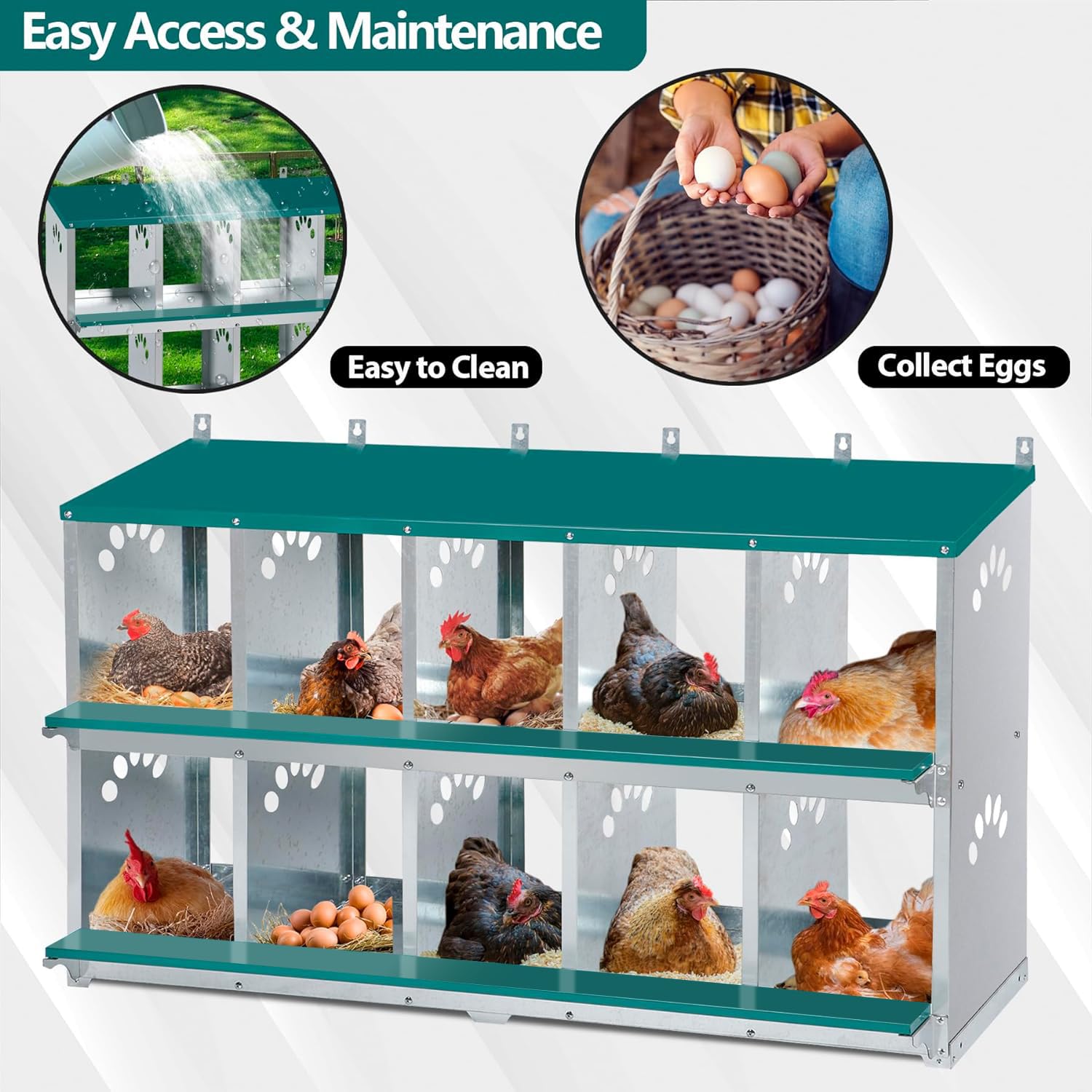 Toriexon nesting box green color complements backyard coops