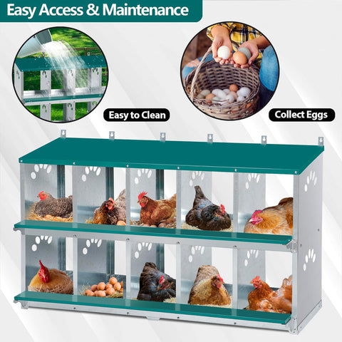 Toriexon nesting box green color complements backyard coops