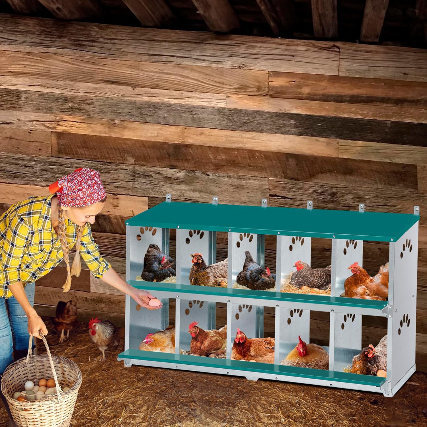 Toriexon nesting box hinged lid enables easy cleaning