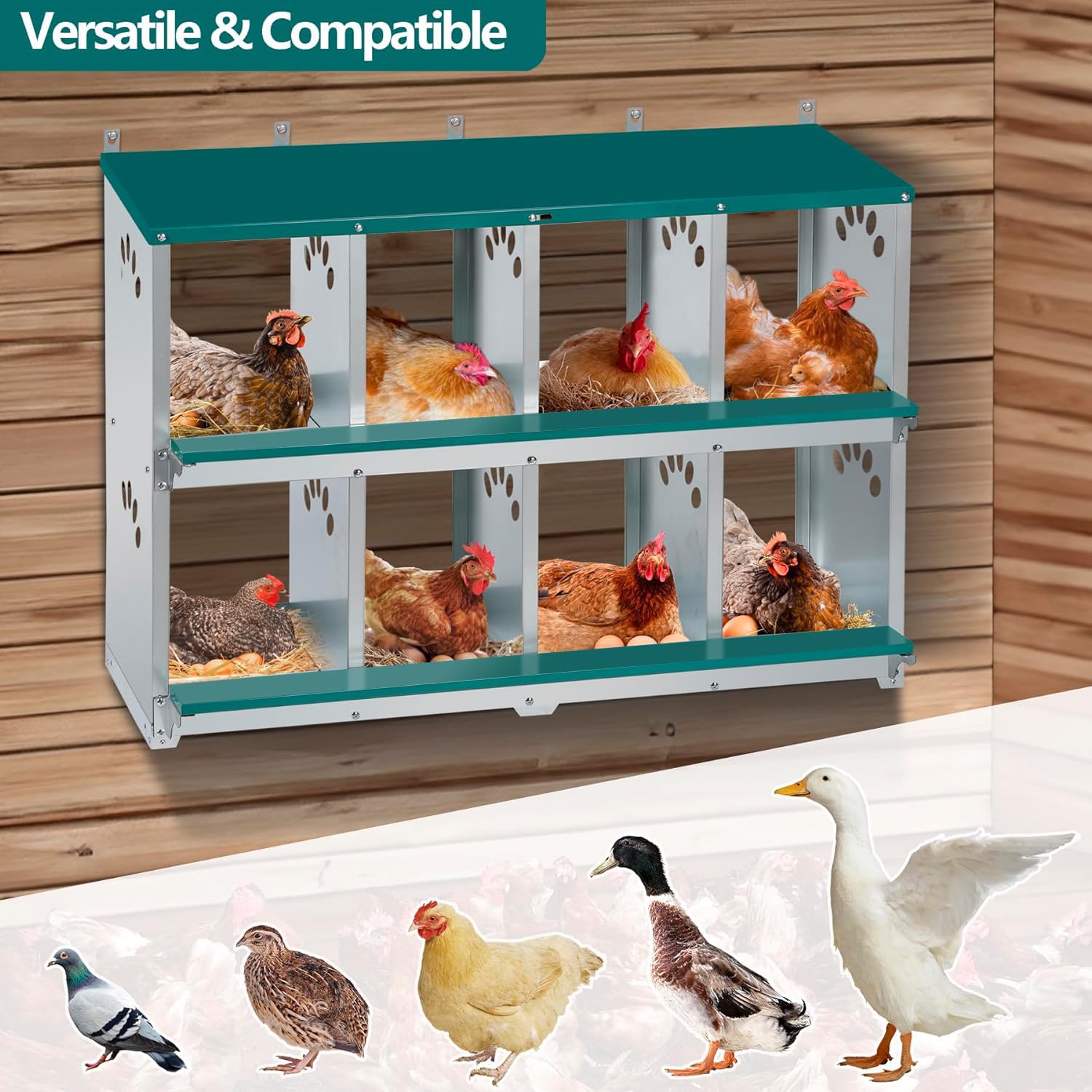 Toriexon nest pad helps keep eggs dry and clean.