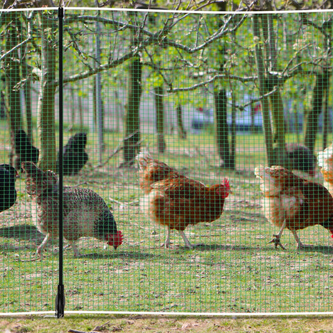 Toriexon enclosure fits chickens and ducks safely in your yard.