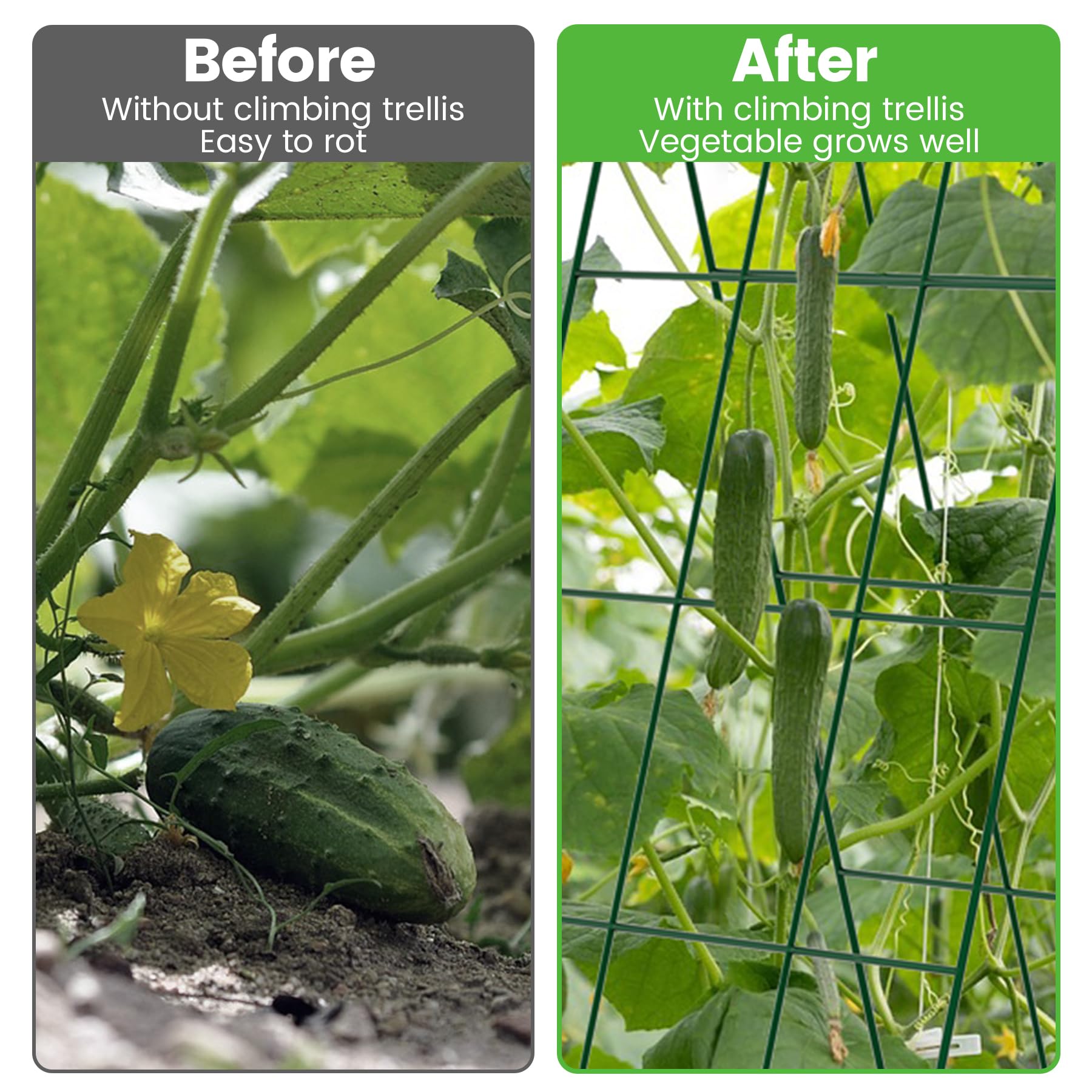 Toriexon Cucumber Trellis connectors demonstrate quick, secure joins.