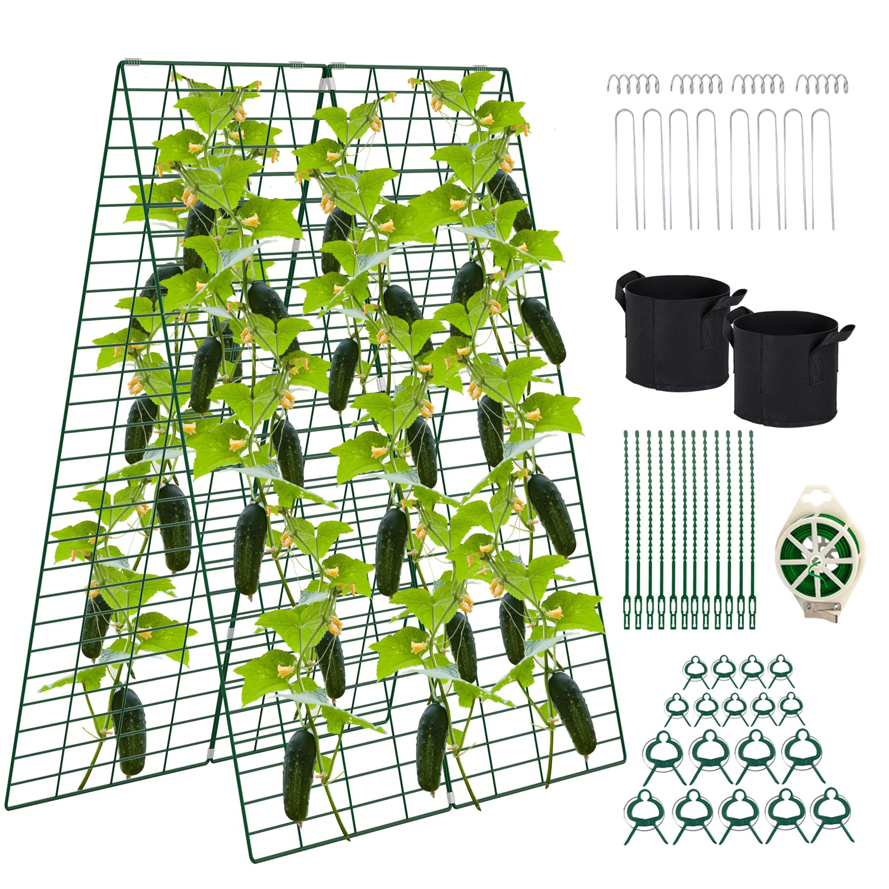 Toriexon foldable cucumber trellis supports climbing vines in a raised bed for organized growth