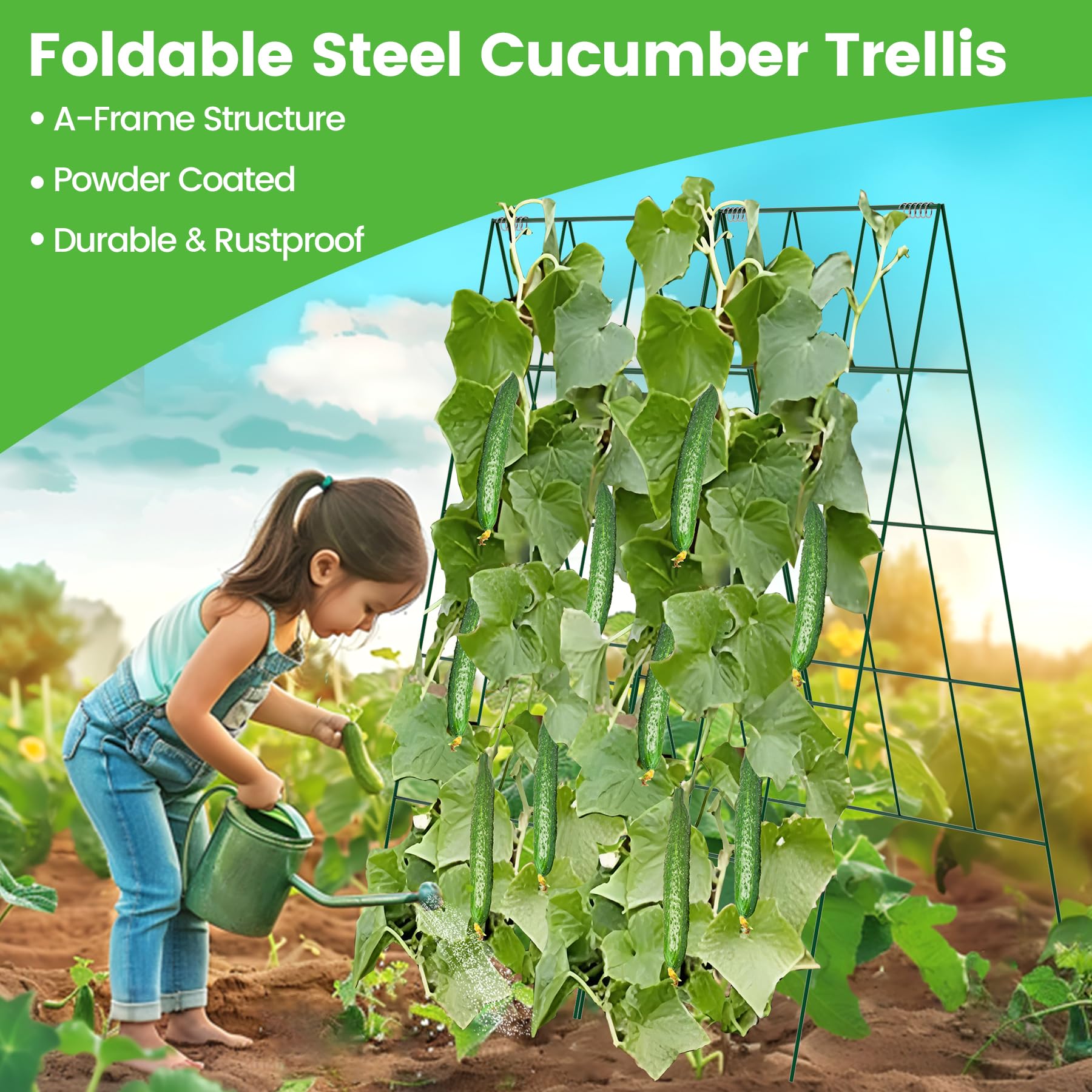 Toriexon Foldable Cucumber Trellis assembled frame demonstrates easy setup.