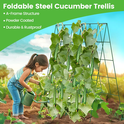 Toriexon Foldable Cucumber Trellis assembled frame demonstrates easy setup.