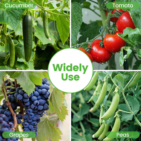 Toriexon Foldable Cucumber Trellis vertical garden use supports cucumbers beans peppers
