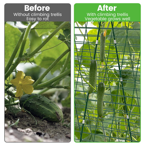 Toriexon Foldable Cucumber Trellis with plant bags illustrates versatile use in raised beds