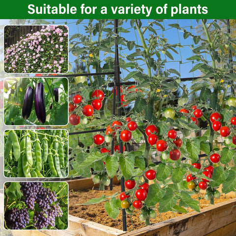 Toriexon Garden Arch Trellis ideal for heavy fruits like pumpkins and melons.