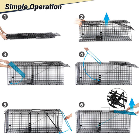 Toriexon locking mechanism ensures secure capture with no escape