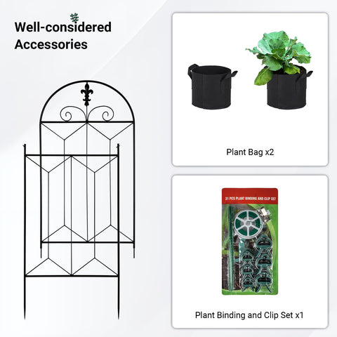 Toriexon trellis vertical garden with multiple vines.