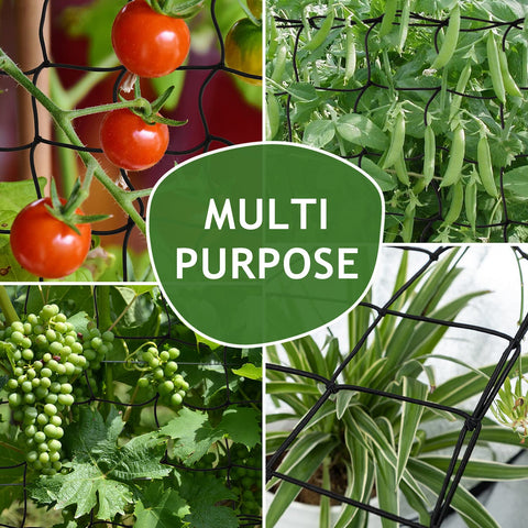 TORINALITAL trellis netting supporting tomatoes and eggplants during growth