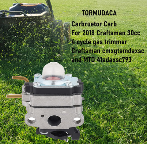 Tormudaca carburetor with gasket highlights durable seal for easy maintenance