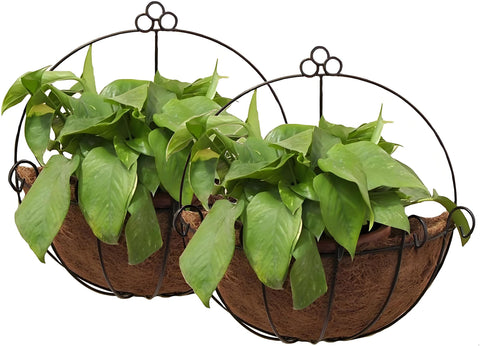 Tosnail 2-pack metal wall planters with coco liner for indoor or outdoor display.