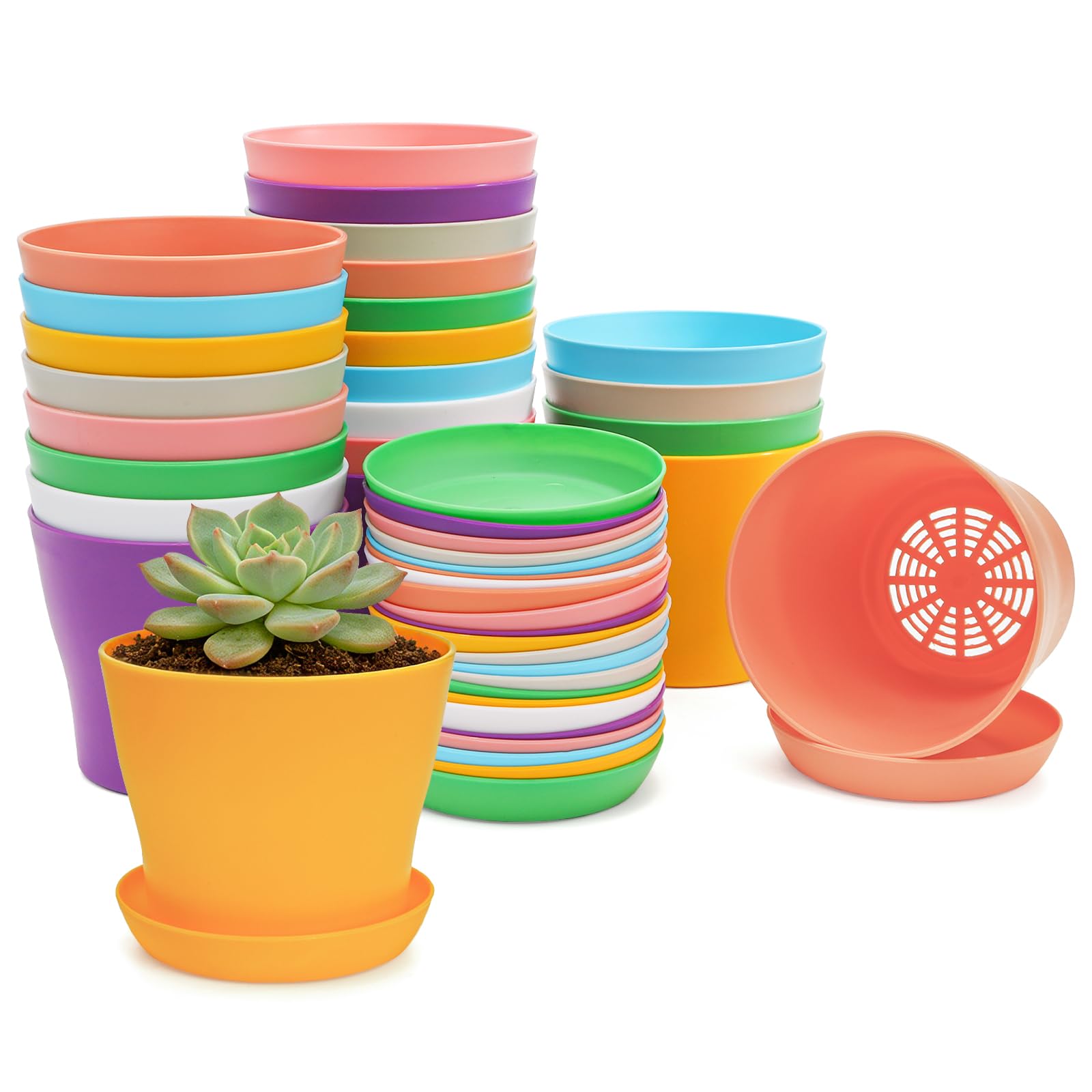 Tosnail 24-pack small pots with saucers for seedlings care