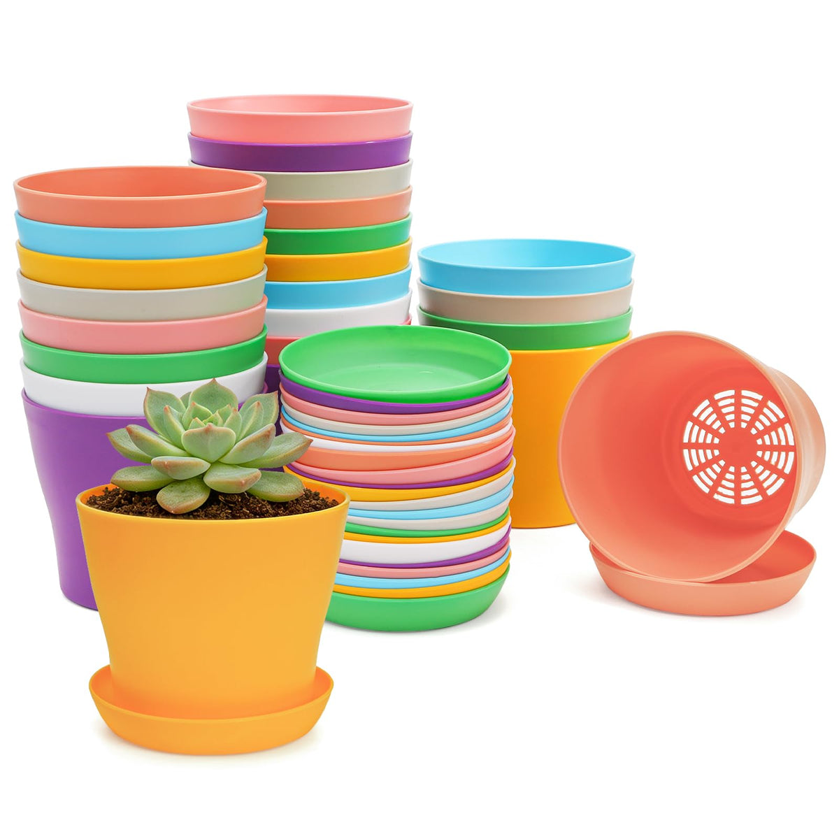 Tosnail 24-pack small pots with saucers for seedlings care