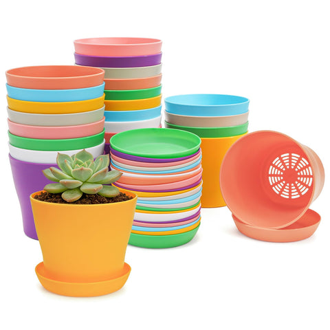 Tosnail 24-pack small pots with saucers for seedlings care